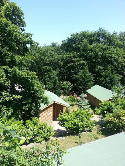 Green House Garden Park Hotel Cumhuriyet Zewnętrze zdjęcie