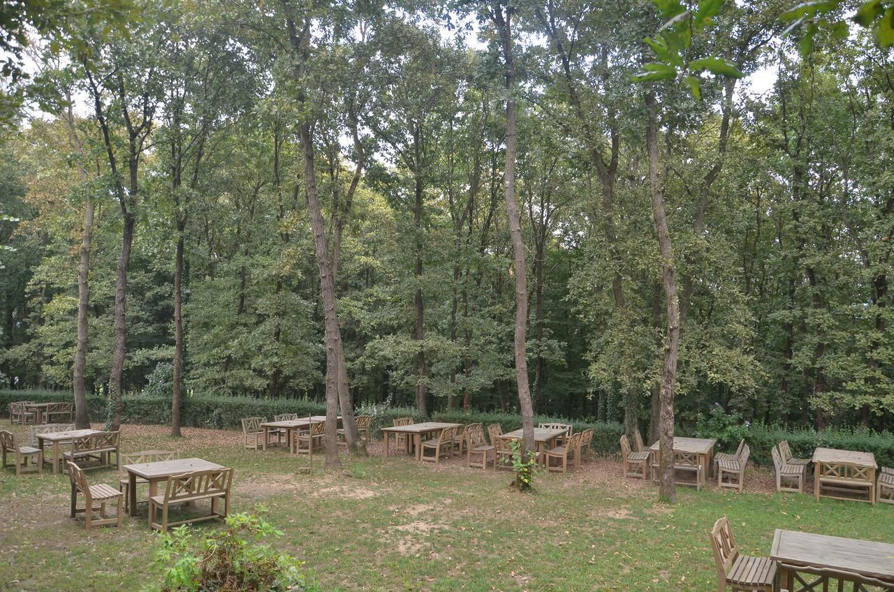 Green House Garden Park Hotel Cumhuriyet Zewnętrze zdjęcie